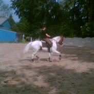 På udendørsbanen d.06.06.07