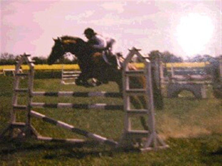 Persian Whistle xx - Persian og jeg i vores spæde start i Aulum 200?  
LB spring - vi blev nr.2 juhuuu billede 1