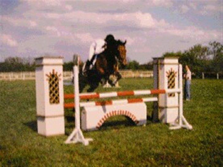 Persian Whistle xx - Også Persian og jeg fra LB i aulum 200? 

Senere blev vi mega meget bedre og fik sejre og placeringer i LA/MB og Persian blev B-hest :)) 

 billede 7