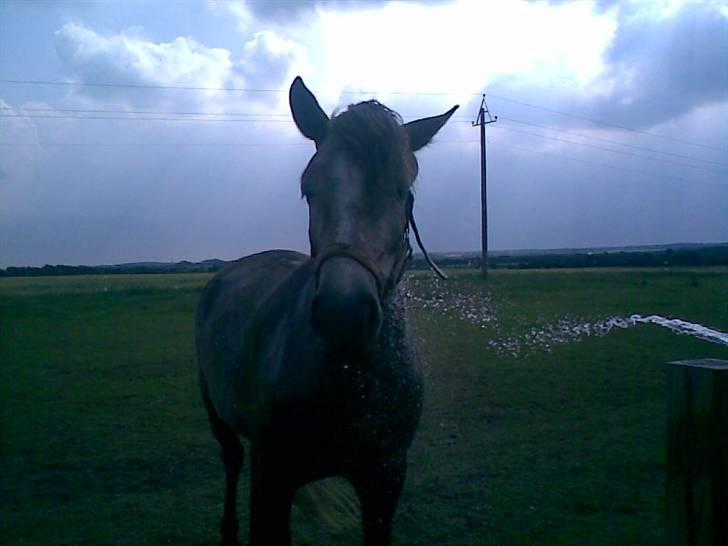 SOMMER BILLEDER D.6 juni - 2007 - Weeh vaaaand <3 billede 6