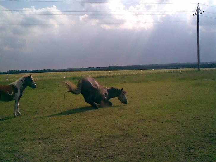 SOMMER BILLEDER D.6 juni - 2007 - Ser total sjovt ud haah xD billede 15