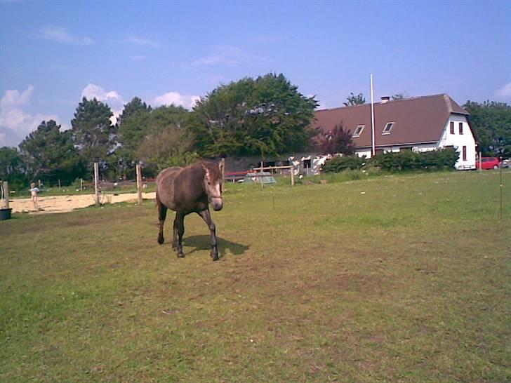 SOMMER BILLEDER D.6 juni - 2007 billede 25