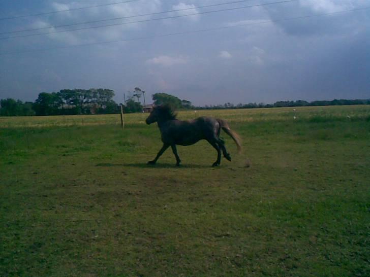 SOMMER BILLEDER D.6 juni - 2007 billede 38