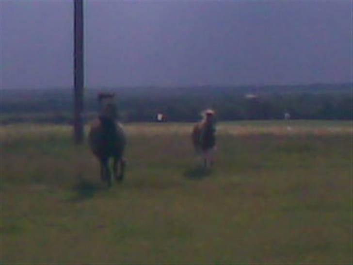 SOMMER BILLEDER D.6 juni - 2007 billede 41