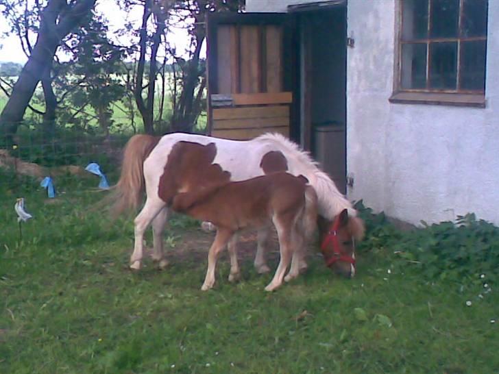 SOMMER BILLEDER D.6 juni - 2007 billede 49