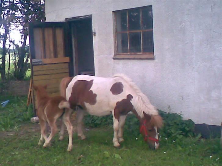 SOMMER BILLEDER D.6 juni - 2007 billede 53