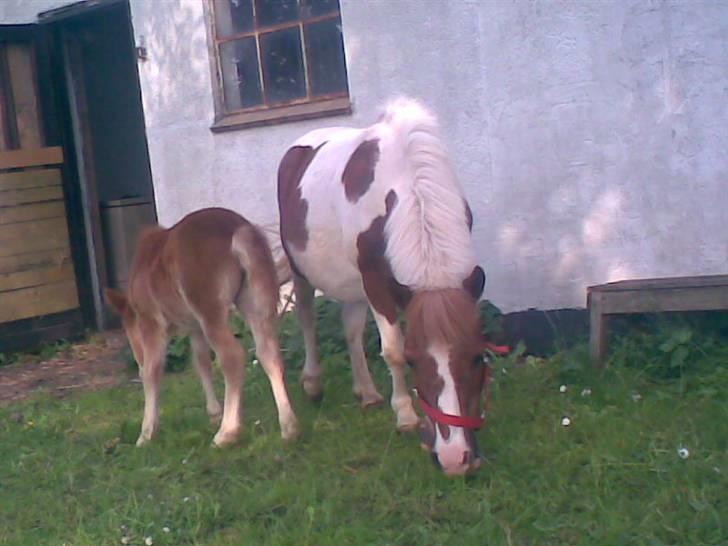 SOMMER BILLEDER D.6 juni - 2007 billede 55