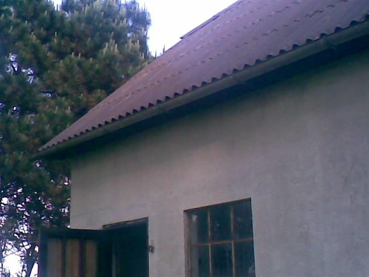 SOMMER BILLEDER D.6 juni - 2007 billede 56