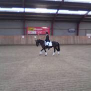 Mia til stævne ( til Pia)