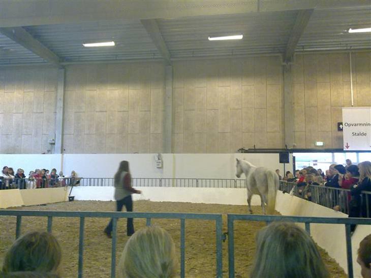 {{currentPhoto.altText}} billede {{currentPhoto.number}}