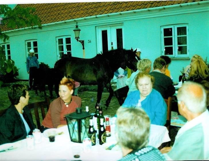 Stutteri Kermo - Endnu engang fødselsdag - her ses Kiki min første pony sammen med søster og Kine(: billede 8
