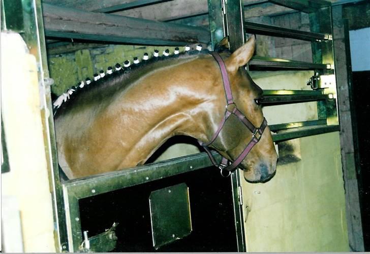 Stutteri Kermo - Kermo's Walt Disney . billede 26