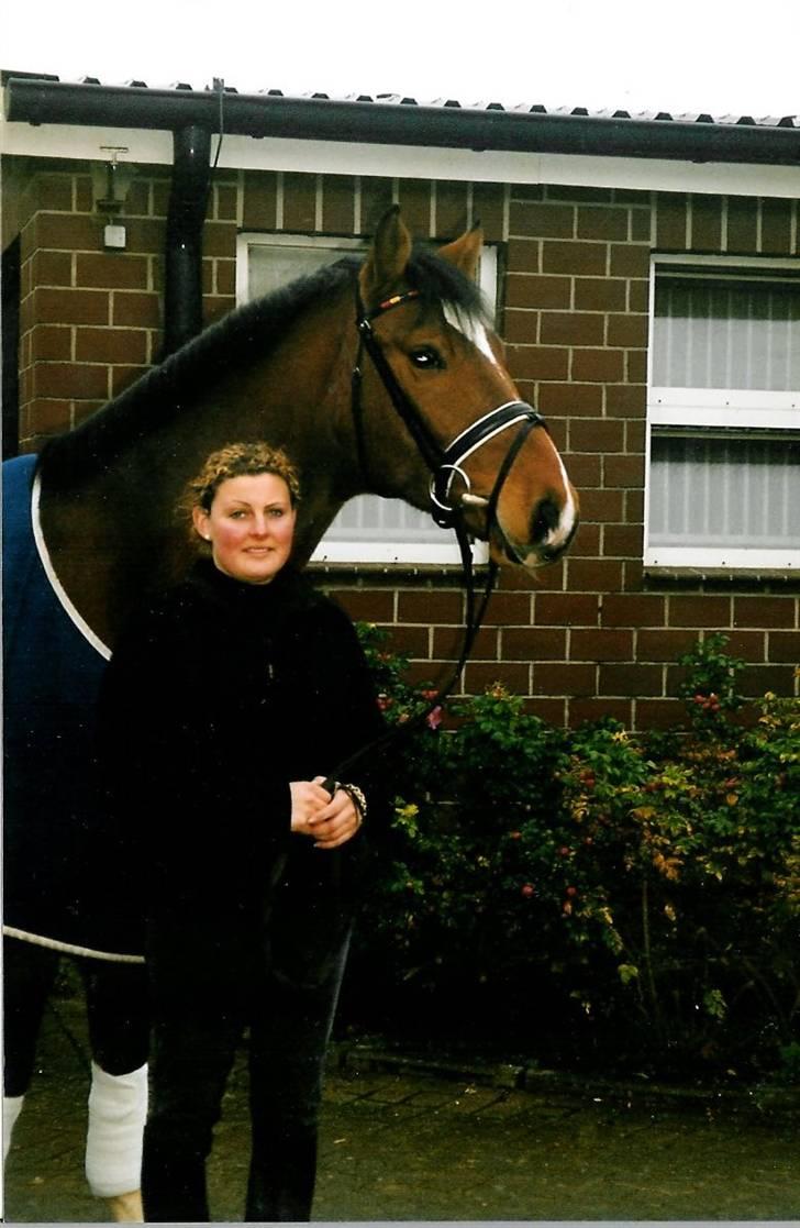 Stutteri Kermo - Kermo's Walt Disney ved Fie Skarsoe. billede 27