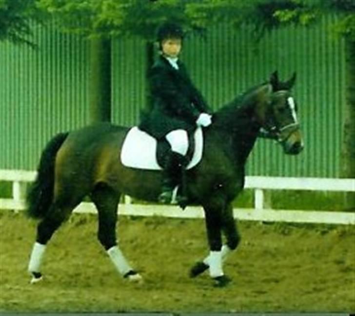 Stutteri Kermo - Min første pony, Kiki (: billede 39