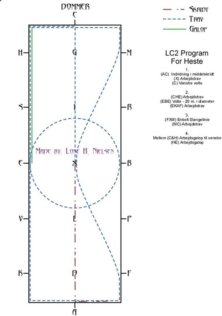 LC2 hest dressur for dummies - Side 1 af 3 billede 1