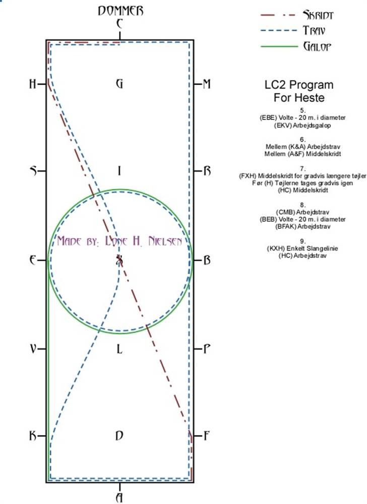 LC2 hest dressur for dummies - Side 2 af 3 billede 2