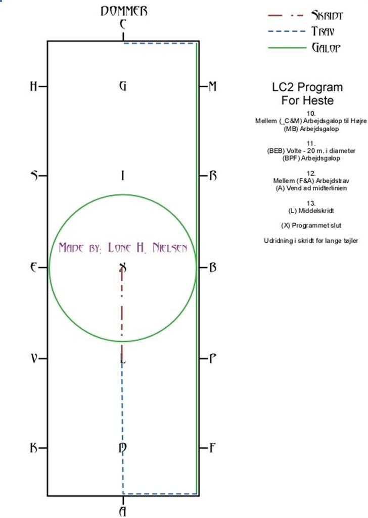 LC2 hest dressur for dummies - Side 3 af 3 billede 3