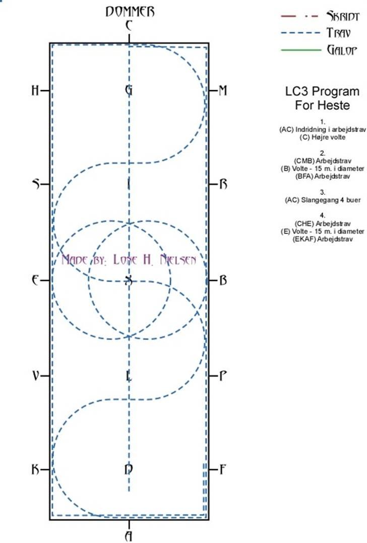 LC3 hest dressur for dummies - Side 1 af 4 billede 1
