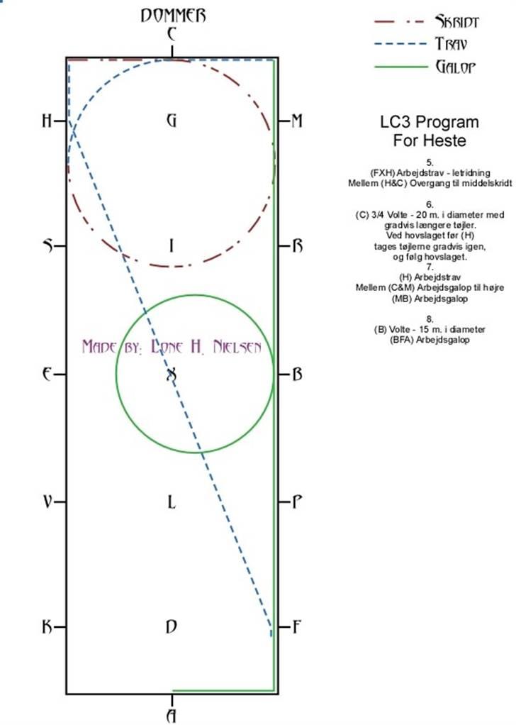 LC3 hest dressur for dummies - Side 2 af 4 billede 2