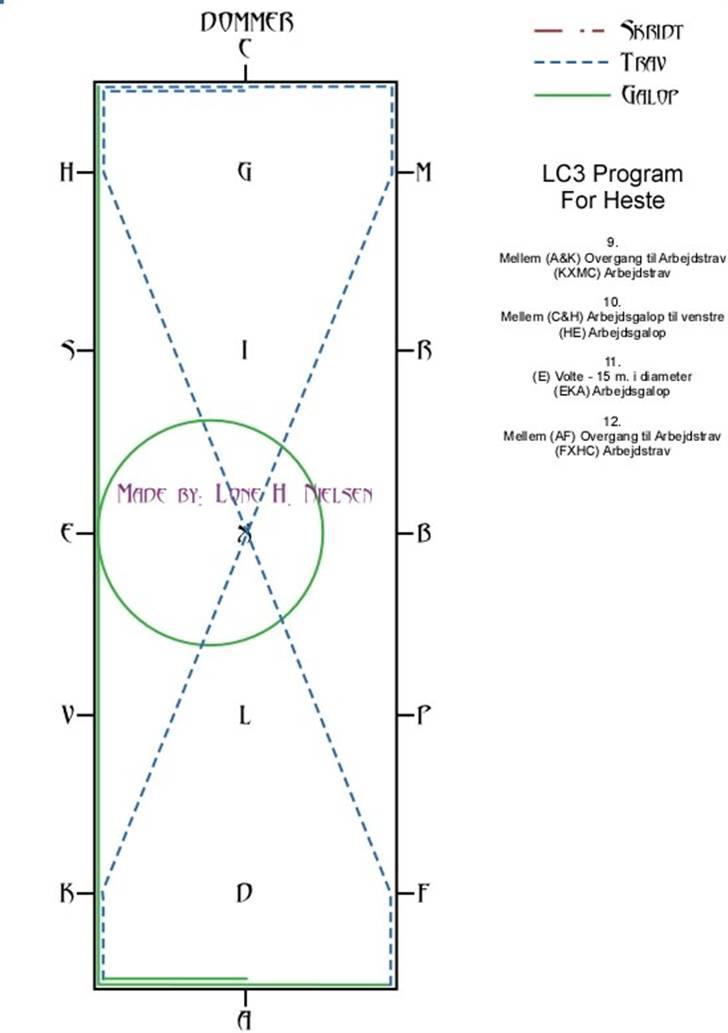 LC3 hest dressur for dummies - Side 3 af 4 billede 3
