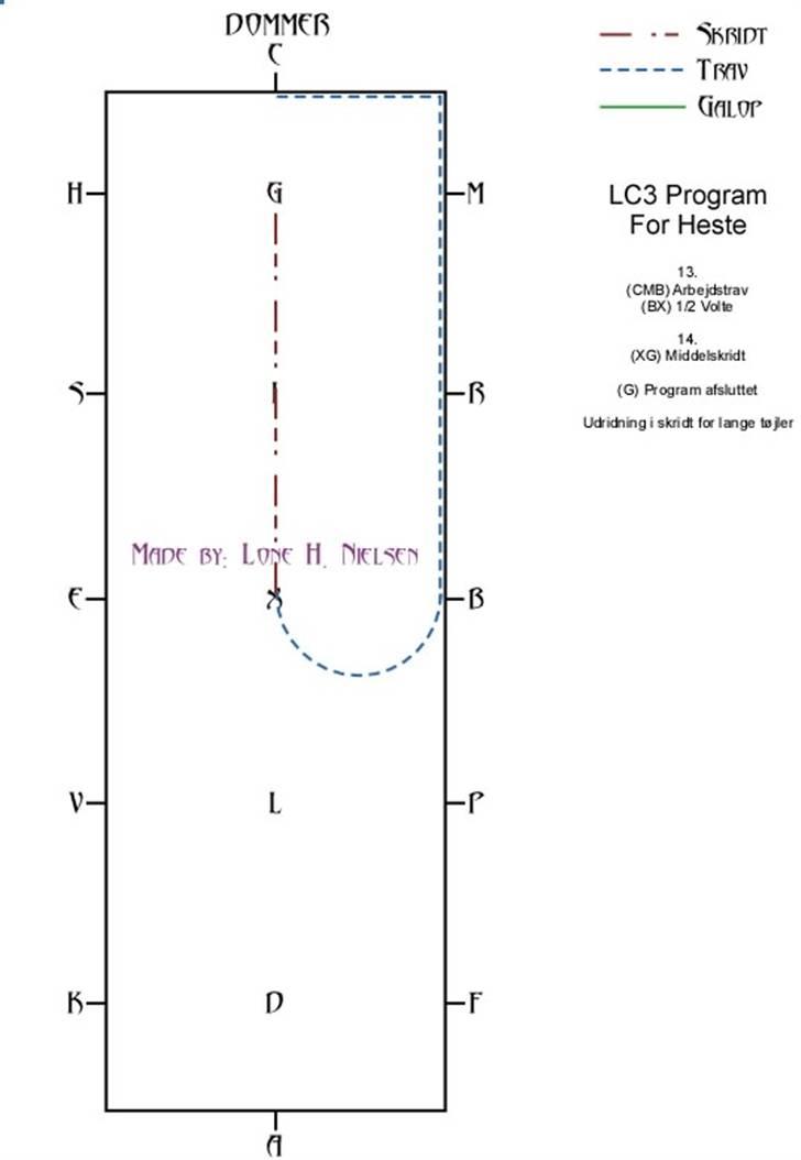 LC3 hest dressur for dummies - Side 4 af 4 billede 4