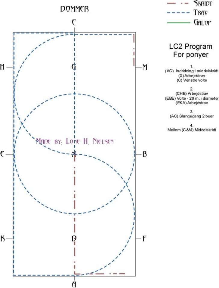LC2 pony dressur for dummies - Side 1 af 3 billede 1