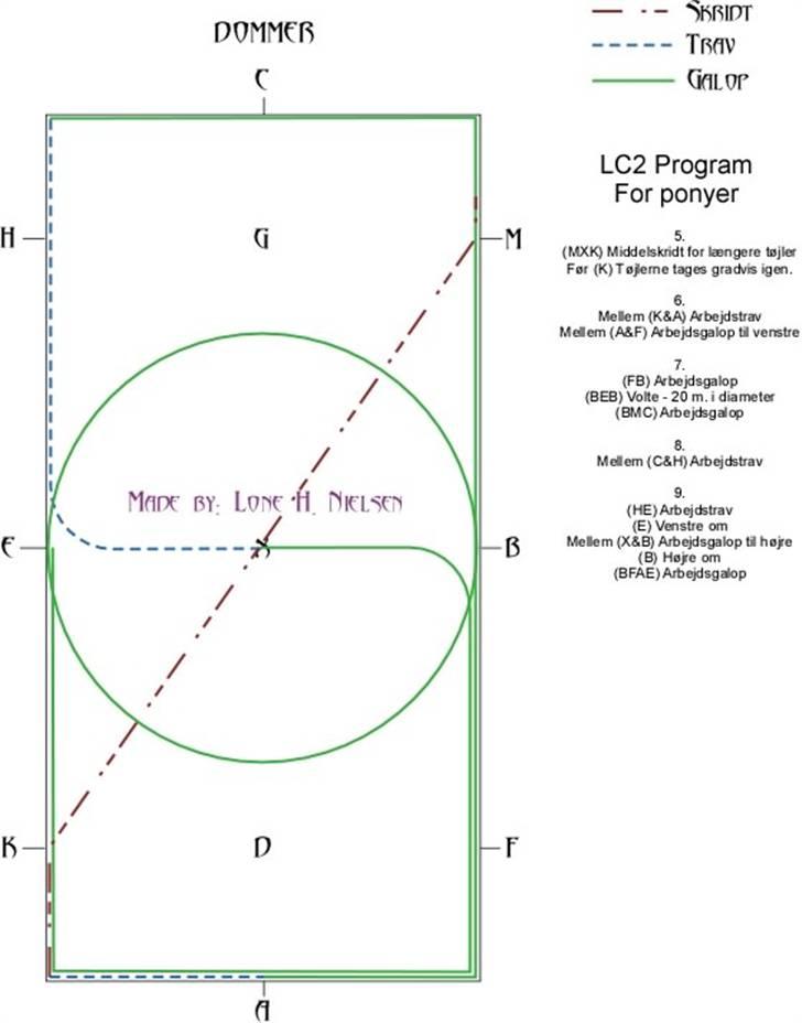 LC2 pony dressur for dummies - Side 2 af 3 billede 2