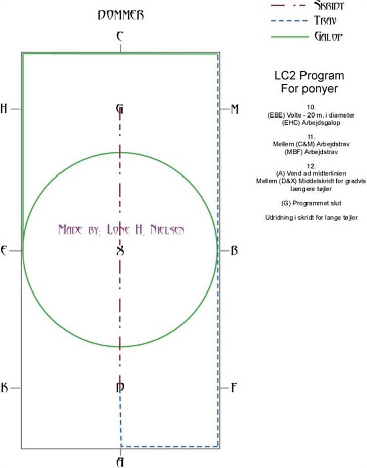 LC2 pony dressur for dummies - Side 3 af 3 billede 3