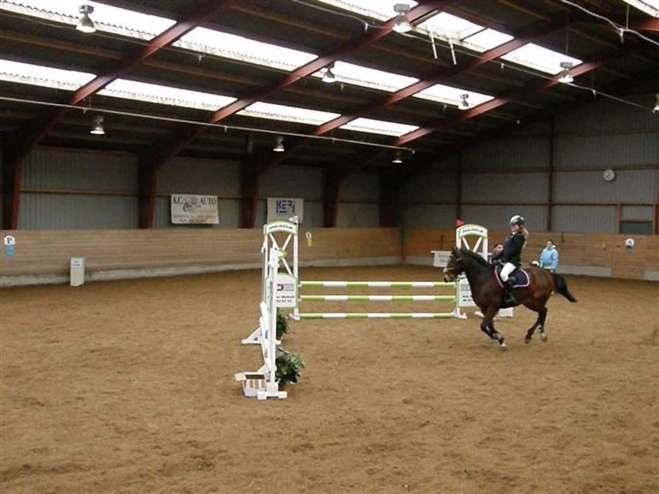 Stævne på Albertslund Rideklub LC & LB billede 1