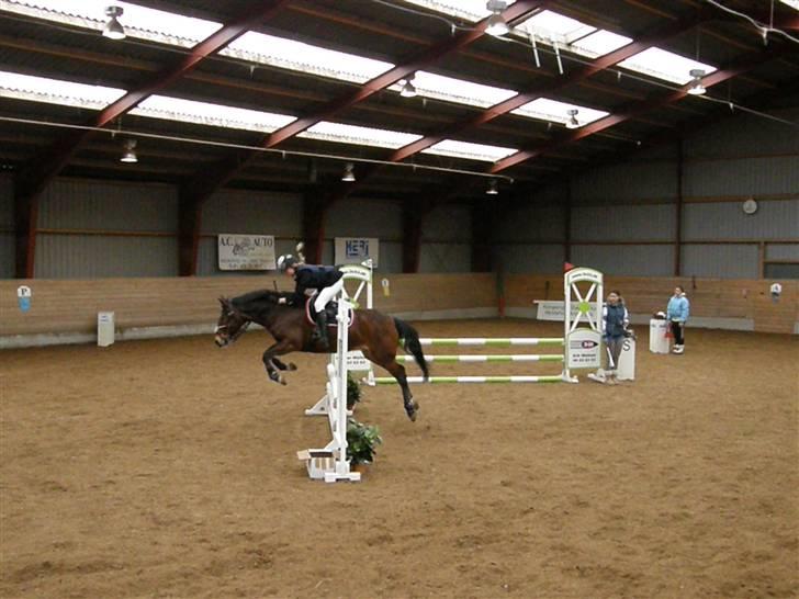 Stævne på Albertslund Rideklub LC & LB billede 2