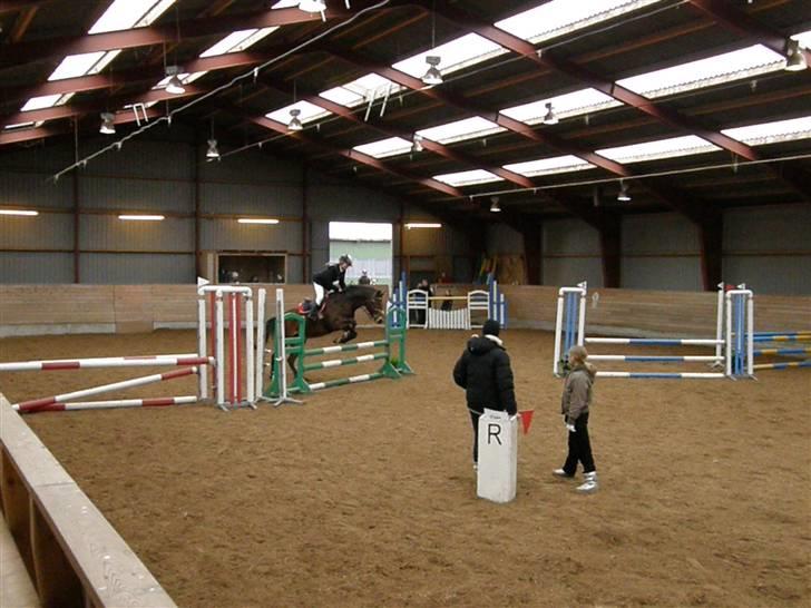 Stævne på Albertslund Rideklub LC & LB billede 3