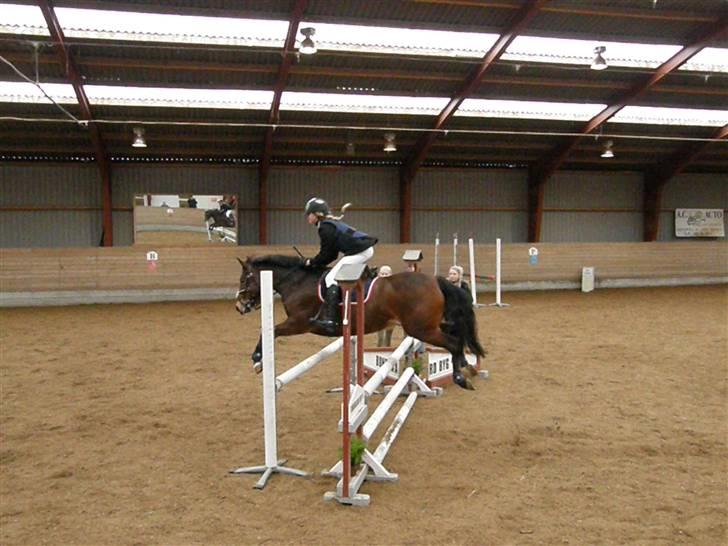 Stævne på Albertslund Rideklub LC & LB billede 4