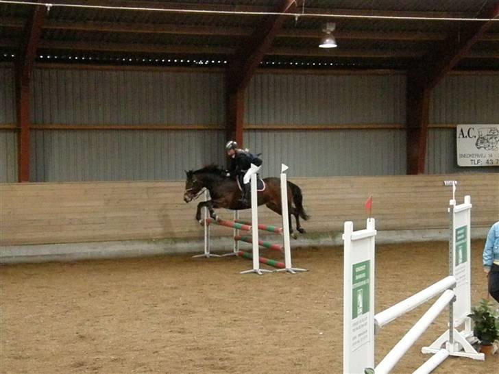 Stævne på Albertslund Rideklub LC & LB billede 5