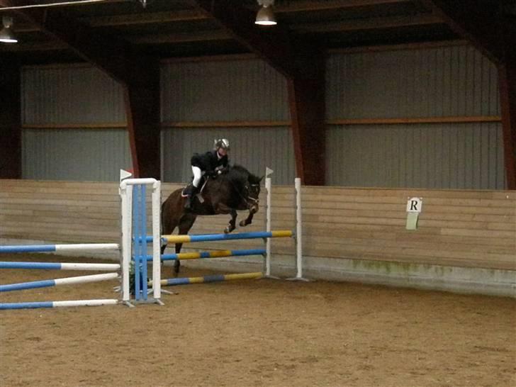 Stævne på Albertslund Rideklub LC & LB billede 6