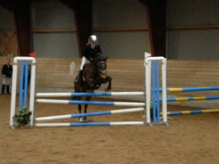 Stævne på Albertslund Rideklub LC & LB billede 8