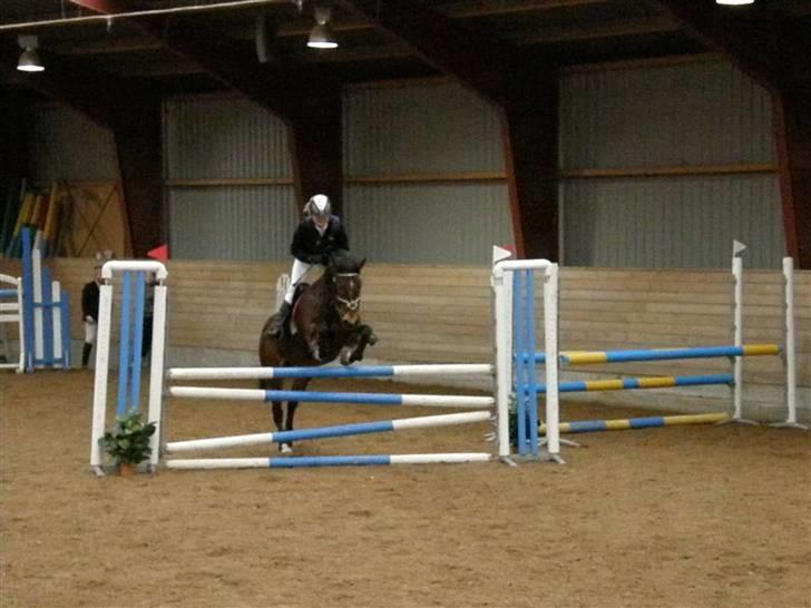 Stævne på Albertslund Rideklub LC & LB billede 9