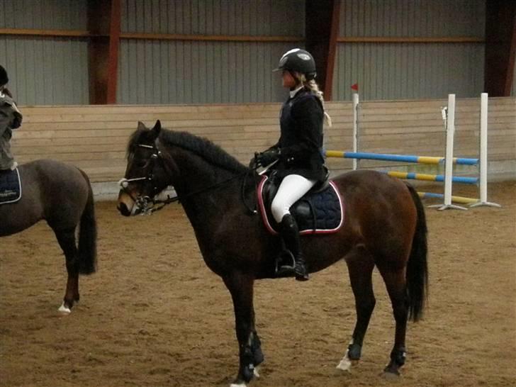 Stævne på Albertslund Rideklub LC & LB billede 10