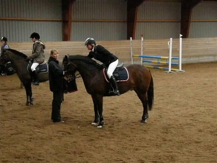 Stævne på Albertslund Rideklub LC & LB billede 12