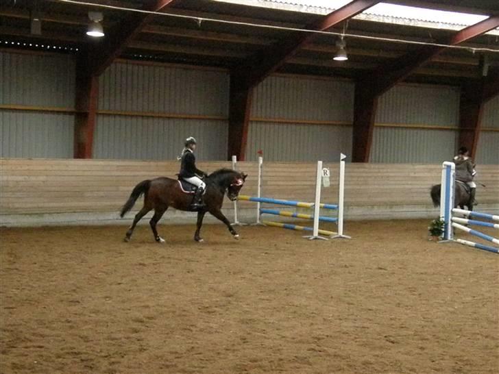 Stævne på Albertslund Rideklub LC & LB billede 13