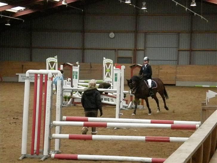 Stævne på Albertslund Rideklub LC & LB billede 14