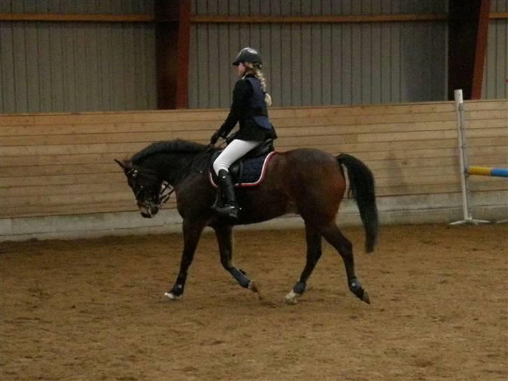 Stævne på Albertslund Rideklub LC & LB billede 15