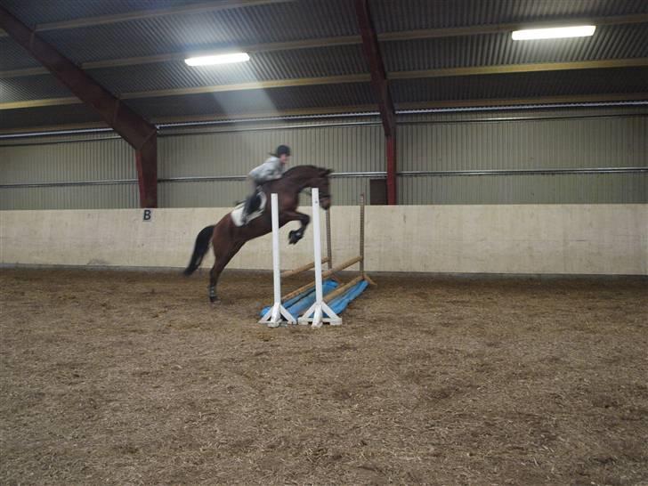  Min tid med Bansam <3 billede 12