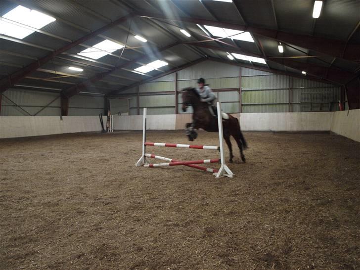  Min tid med Bansam <3 billede 15