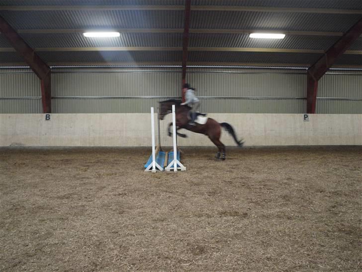  Min tid med Bansam <3 billede 13