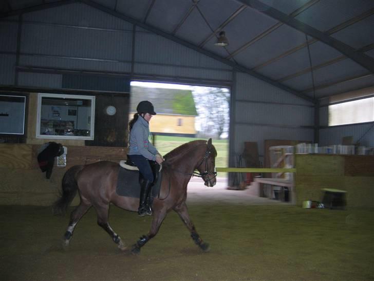 En dag på Askov ridecenter:) - Lige i starten ikk så godt! billede 4