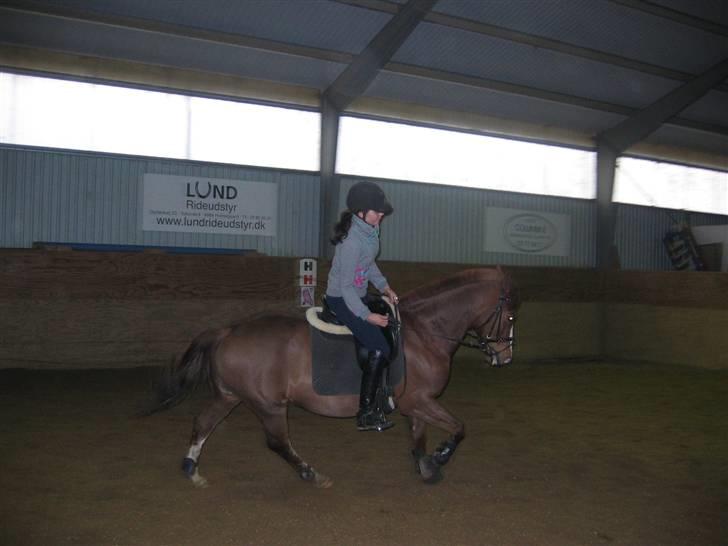 En dag på Askov ridecenter:) - Galop! billede 5