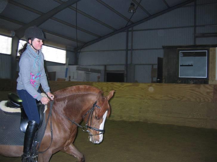 En dag på Askov ridecenter:) billede 6