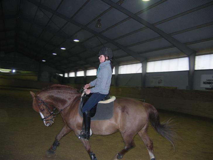 En dag på Askov ridecenter:) billede 7