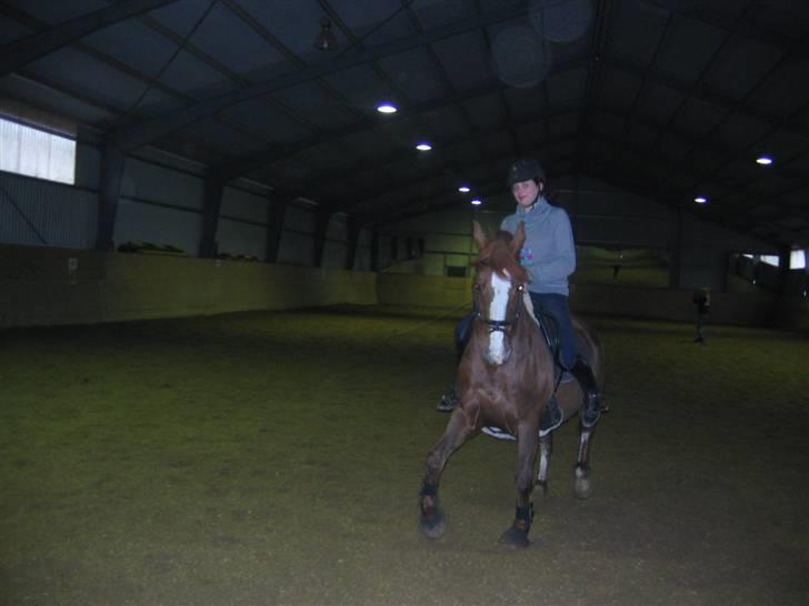 En dag på Askov ridecenter:) - Schenkelvigning! billede 8