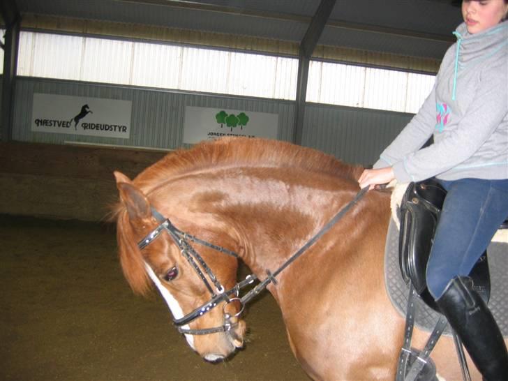En dag på Askov ridecenter:) billede 9
